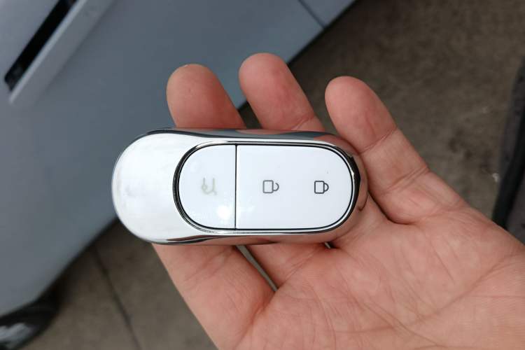 Used Leapmotor C01 2024 Pure Electric 525 Luxury Edition
