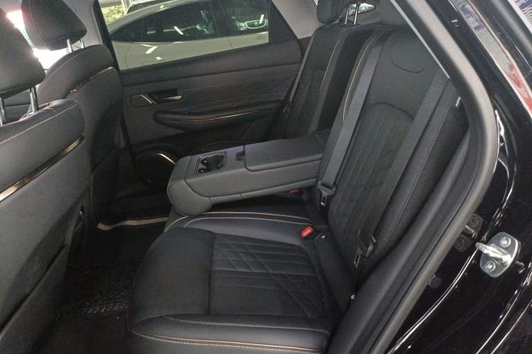 Used Baojun Enjoy 2025 Plug-in Hybrid 140km Luxury Edition Left Rear Seat