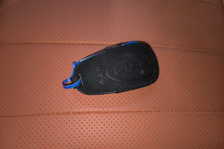 Used Wey Lanshan 2023 Four-Wheel Drive Ultra-Long Range Version