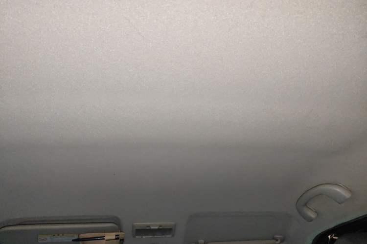 Used Suzuki Swift 2013 1.5L Automatic Standard Edition Headliner