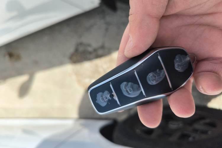 Used BYD Qin PLUS 2025 DM-i Smart Drive 55KM Leading Model
