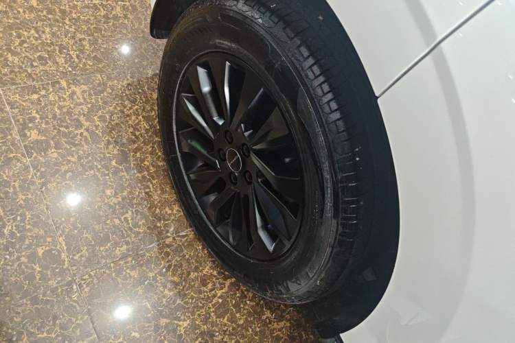 Used FORTHING T5 EVO 2024 Kungbiao Edition 1.5TD DCT Platinum Model