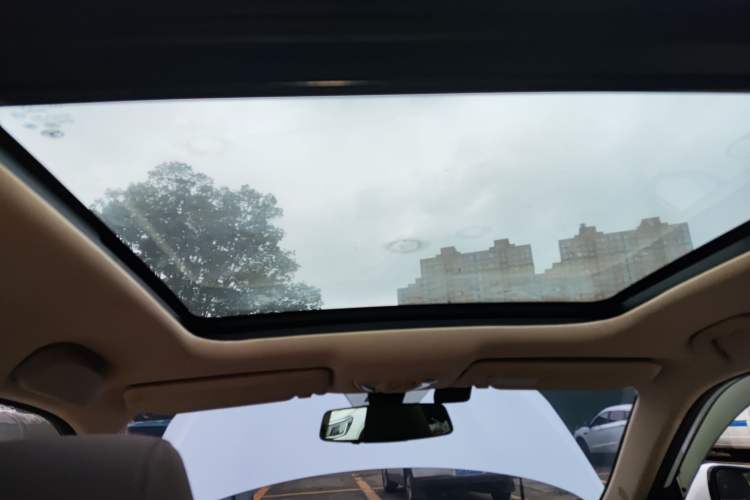 Used Leopaard CS9 2018 1.5T CVT Jinglang Model Headliner