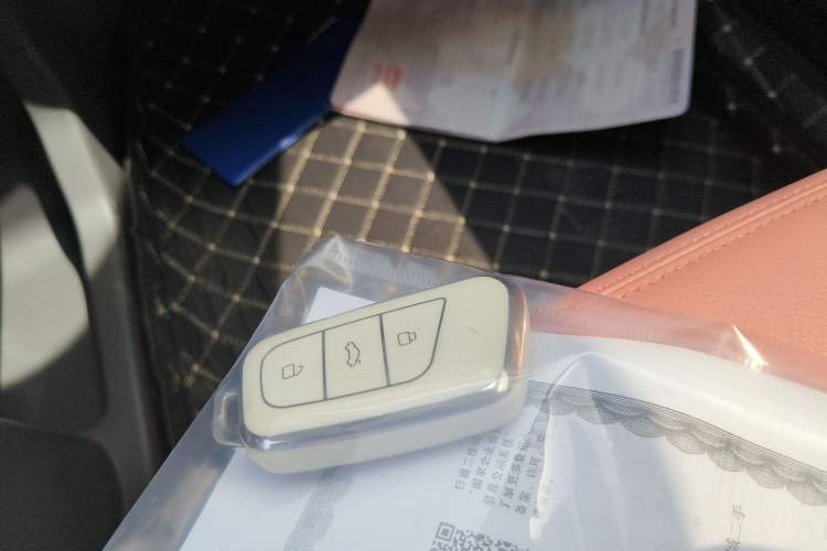 Used Chery QQ Little Ant 2022 Revised Version Sweet Pink Edition Half-Sugar Version Lithium Iron Phosphate 30.7 kWh 30 kW 301 km Interior 1