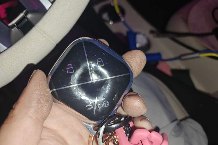 Used Baojun Spark 2023 Intelligent Premium Edition Vehicle Key