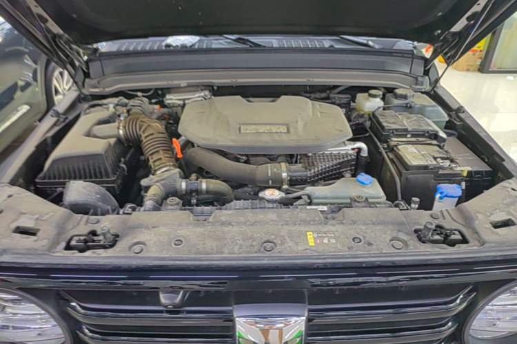 Used Tank 300 New Energy 2025 Hi4-T