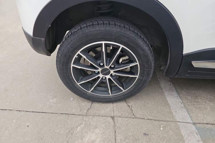 Used Dayun Yuehu 2023 230 Standard Edition
