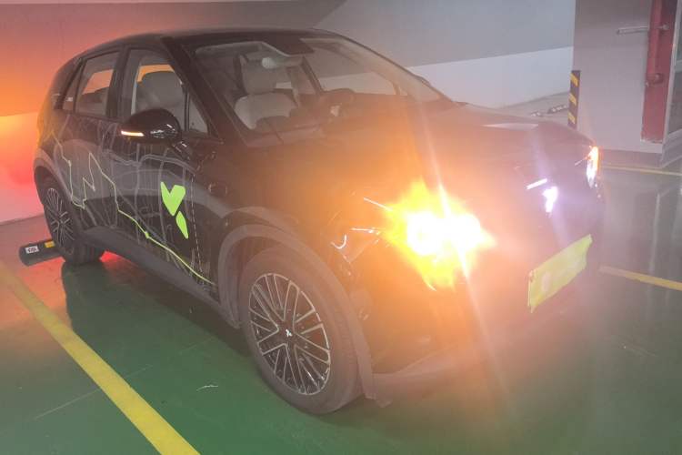 Used firefly 2025 Illuminated Edition