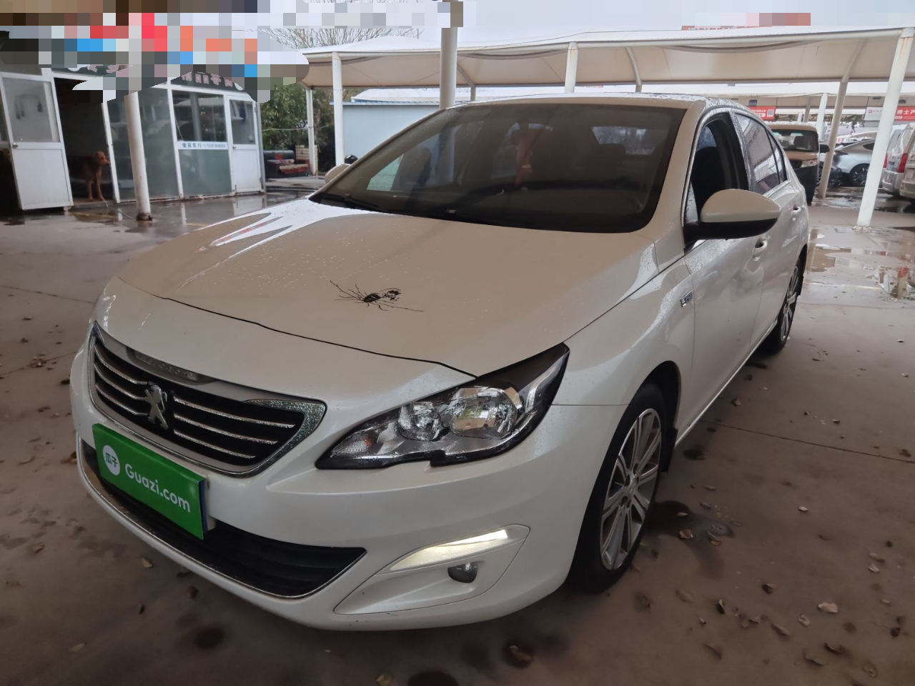 Parte inferior delantera