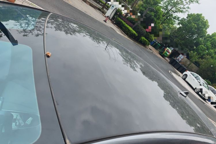 Used BYD Dolphin 2021 405 km Fashion Edition Roof