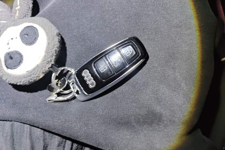 Used Audi A6L New Energy 2020 55 TFSI e quattro
