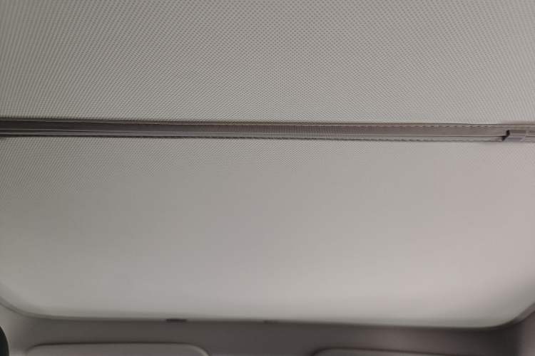 Used Tesla Model Y 2024 Rear-Wheel-Drive Version Headliner