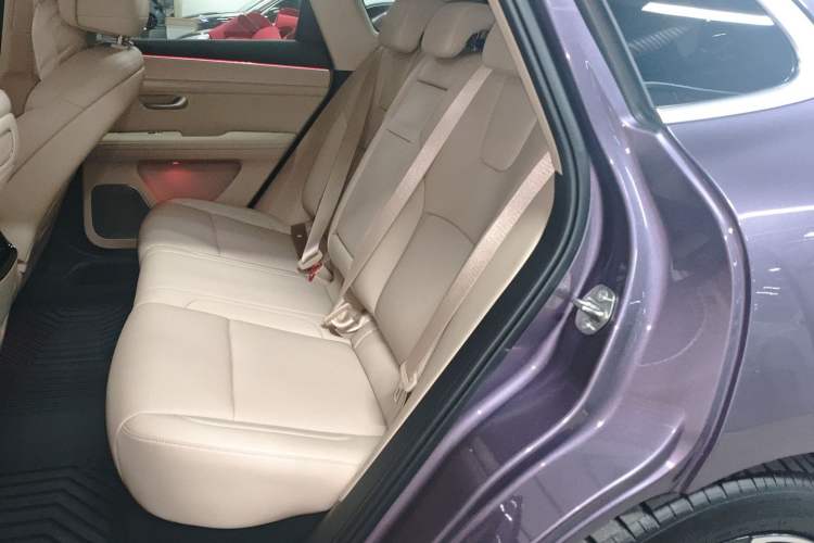 Used Hima AITO M5 2025 Extended-Range Ultra All-Wheel-Drive Version Left Rear Seat