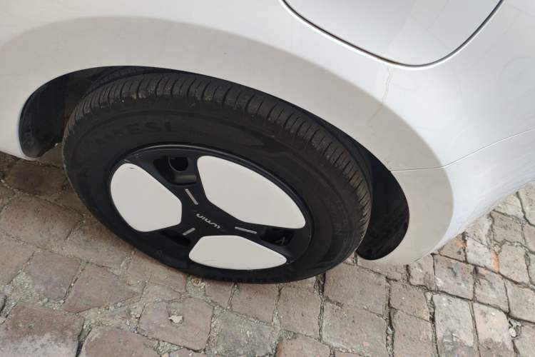 Used Qiyuan Lumin 2023 301km Honey Dew Edition
