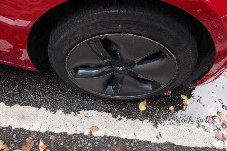 Used Tesla Model 3 2019 Standard Range Rear-Drive Upgraded Version
