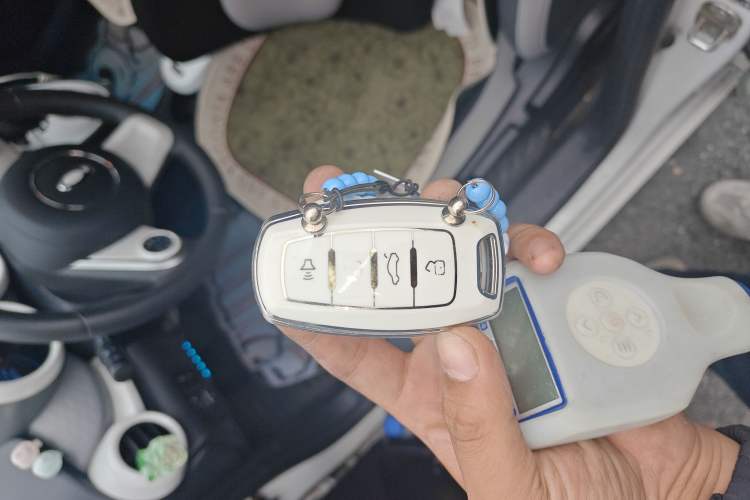 Used ORA Black Cat 2021 301 km Basic Version