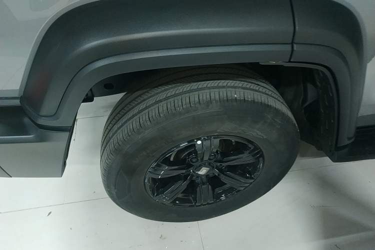 Used Tank 300 2024 2.0T Conqueror
