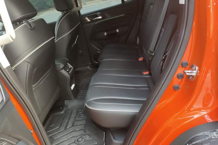 Used Tank 300 2024 2.0T Conqueror
