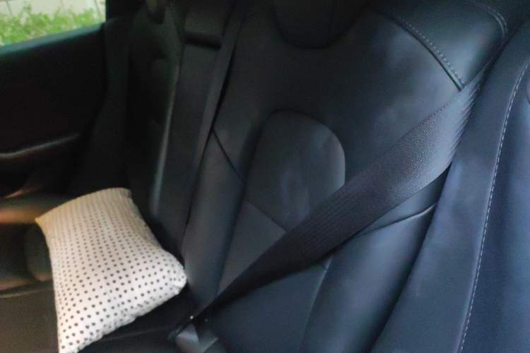 Used Tesla Model 3 2020 Standard Range Rear-Wheel Drive Upgraded Version