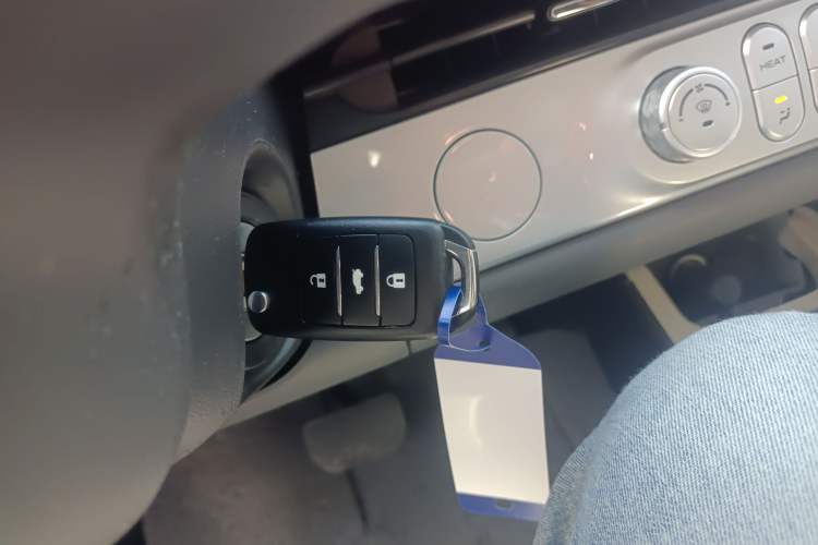 Used Qiyuan Lumin 2023 301km Honey Dew Edition
