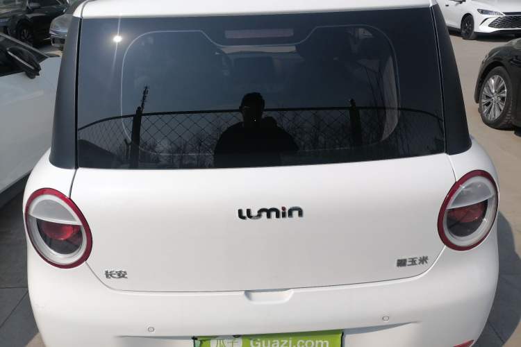 Used CHANGAN NEVO Lumin 2023 205km Xiangqin Version
