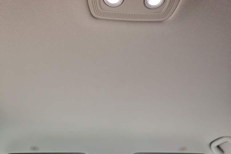 Used BYD Yuan UP 2024 401KM Leading Edition Headliner