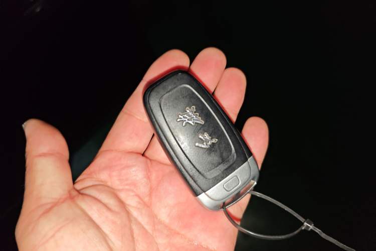 Used Hongqi H9 2020 2.0T Smart Connect Flagship Edition