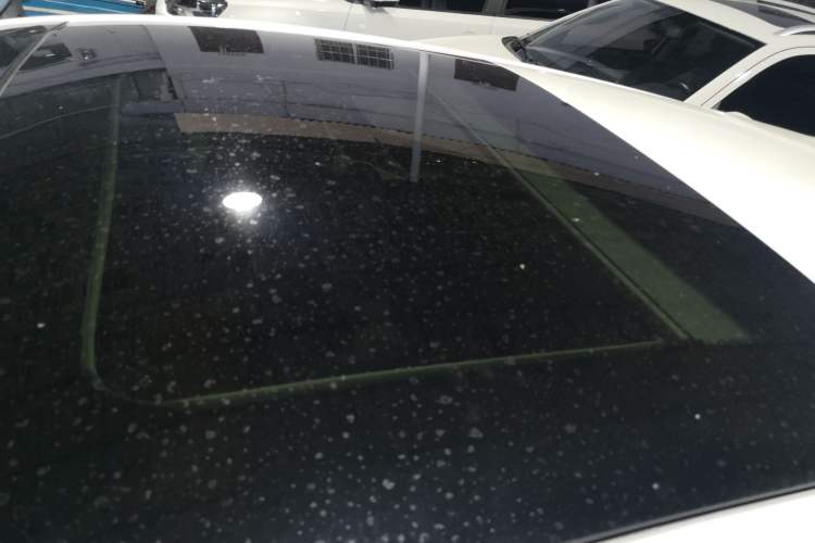 Used Ford Focus 2019 Hatchback EcoBoost 180 Automatic Trendy Model
