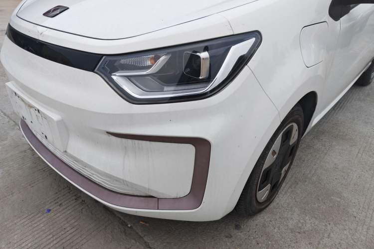 Used SOL E10X 2022 Flower Fairy Design Dandelion