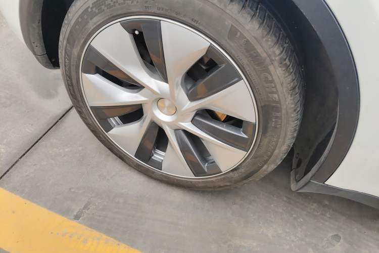 Used Tesla Model Y 2021 Standard Range Rear-Wheel Drive Version
