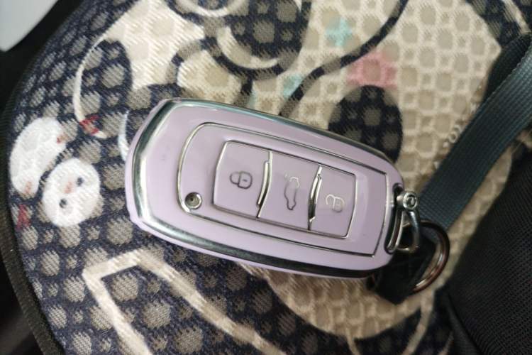 Used Geely Galaxy Panda 2024 Panda Mini 200km Longteng PRO Edition
