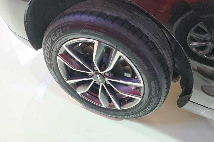 Used Wey VV5 2020 1.5T Two-Wheel Drive Color Pioneer