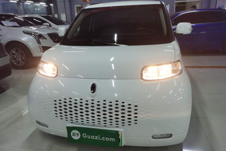 Used ORA White Cat 2020 360 km Luxury Version
