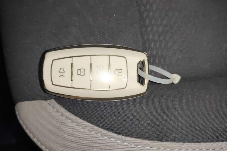 Used ORA White Cat 2020 305 km Luxury Version
