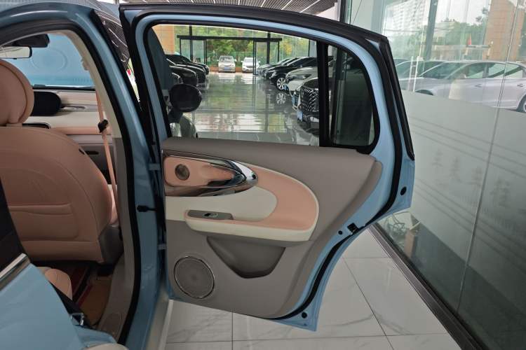 Used ORA Ballet Cat 2022 401 km Nutcracker Edition
