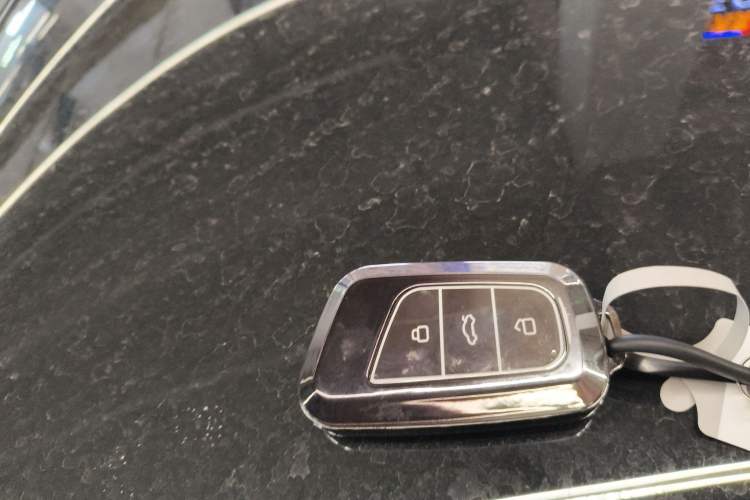 Used Chery Little Ant 2024 Facelifted 321km Beloved Edition Interior 1