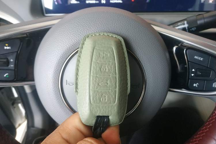 Used ORA White Cat 2020 305 km Luxury Version