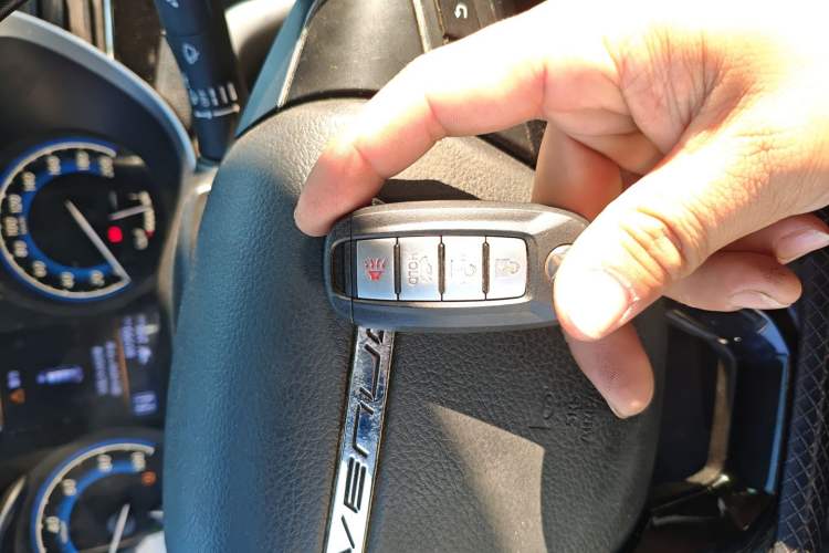 Used Venucia D60EV 2020 Standard Range Smart Drive Edition