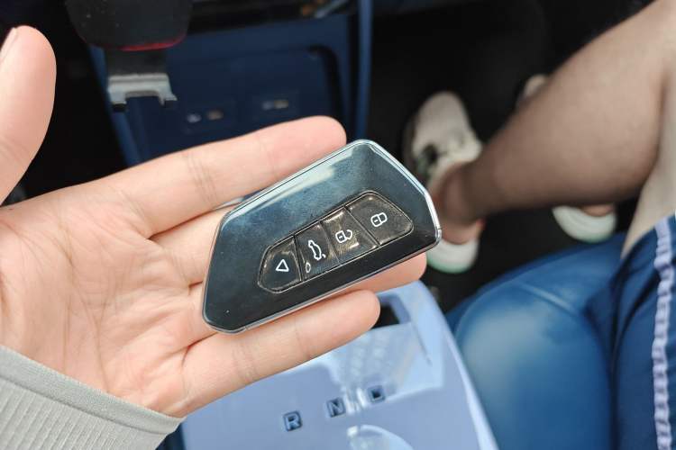 Used Geometry E Firefly 2022 401KM Lightning Tiger 4-Seater
