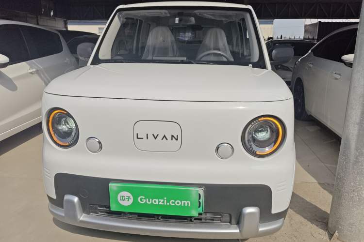 Used Livan Blue Balloon 2025 Model Dynamic Version