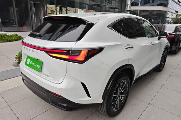 Used Lexus NX 2023 260 Front-Wheel Drive ChuanYou Special Edition
