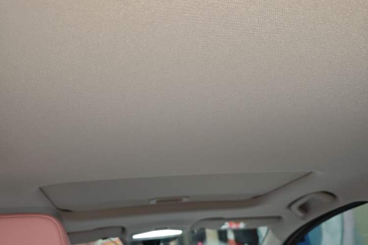 Used Geometry E Firefly 2024 301km Starlight Headliner