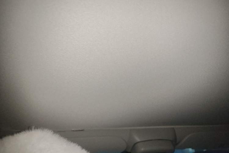 Used Tesla Model 3 2022 Rear-Wheel-Drive Version Headliner