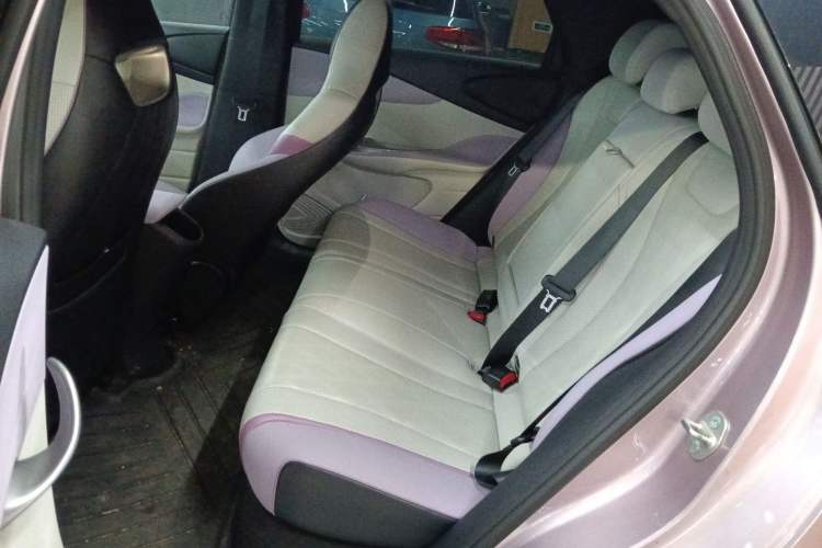 Used BYD Dolphin 2024 Honor Edition 420km Fashion Version Left Rear Seat