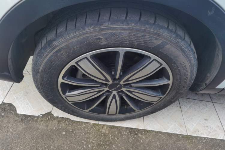 Used Haval H6 2023 National Trend Edition 1.5T Automatic Champion Version