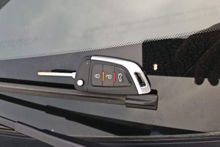 Used ORA Black Cat 2019 351 km Goddess Edition
