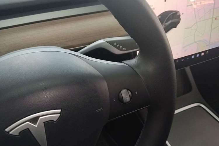 Used Tesla Model Y 2021 Standard Range Rear-Wheel Drive Version
