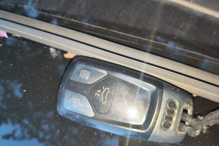 Used Audi Q7 New Energy 2019 55 e-tron