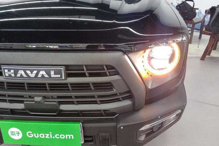 Used Haval DARGO 2024 2.0T DCT Chinese Rural Dog Edition
