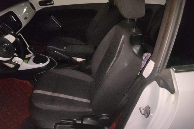 Used Volkswagen Beetle 2018 180TSI Yile Model Left Rear Seat